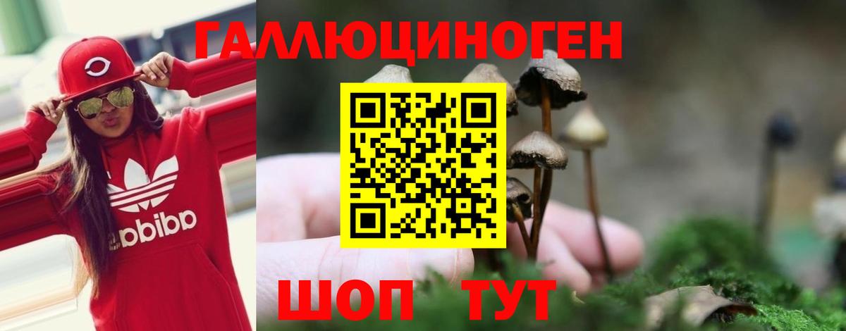 Галлюциногенные грибы Cubensis  Галлюциногенные грибы Cubensis  где найти   Вход с VPN  Чехов 